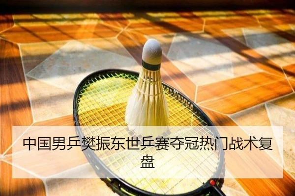 中国男乒樊振东世乒赛夺冠热门战术复盘